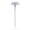 Elevate II系列 - 落地架 Kiosk (白) -- Surface Pro 8 適用 - KAM411W - Image 3